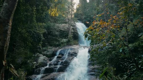 Waterfall Flowing Through a Verdant Forest