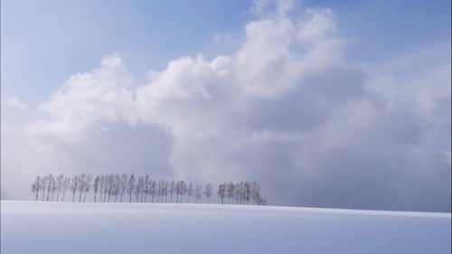 Baum- und Aststand mit Schnee im Winter