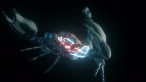 Skorpion im isolierten schwarzen Hintergrund mit Nahaufnahme Kameraanimation und Partikeln 4k
