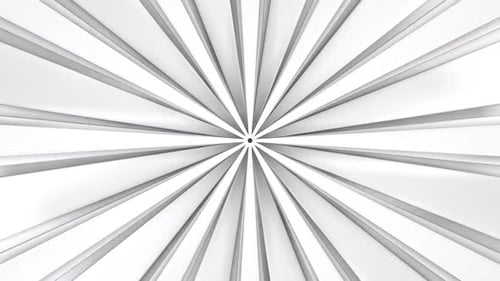 Lazo blanco y negro con forma de estrella