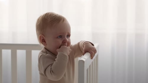 Baby Teething