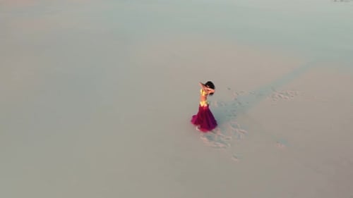 Brunette Dances Belly Dancing, She Cute Sexually Moves and Smiles. Aerial Survey. View From Above