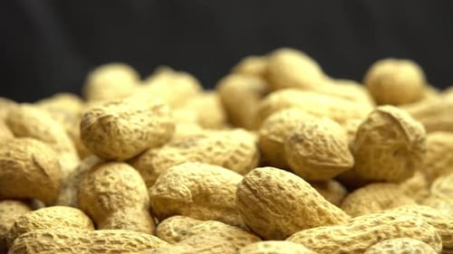 Pile of Peanuts in Shells Close-Up Food