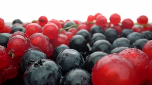 Close Up of Fresh Red Currants and Blueberries