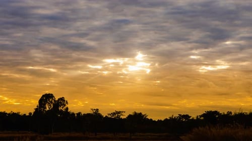 Golden Sunset with Silhouetted Trees and Clouds