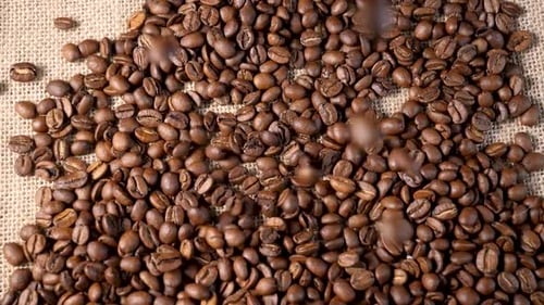 Roasted coffee beans. Slow motion of arabica coffee seeds falling.