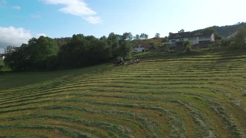 Tracteur avec râteau à roues ramasseur de fourrage pour la production d'ensilage, Norvège, aérien