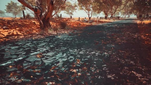 Open Road in Australia with Bush Trees