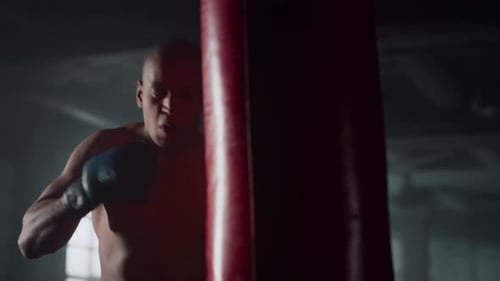 Professional Boxer Punching Bag in Gym