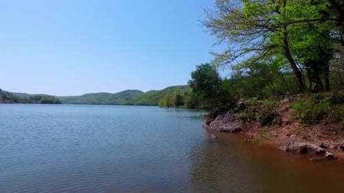 Lakeside And Forest Drone View