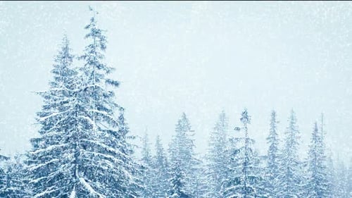 Schöner flauschiger Schnee auf Ästen