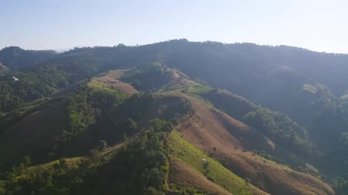 Aerial top view of forest trees and green mountain hills. Nature landscape background, Thailand.