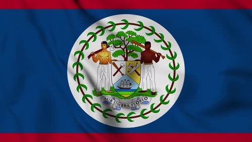 Waving Belize Flag Animation with National Emblem