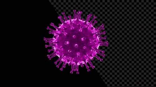 3D Animated Purple Virus Particle Rotating Transparent