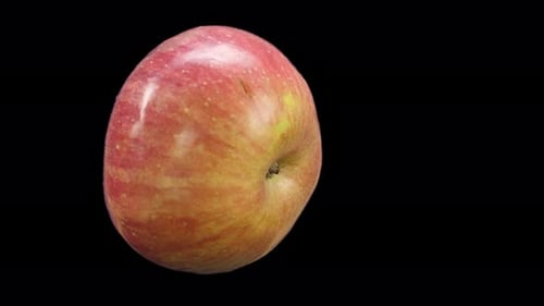 Apple gira con Alpha Channel