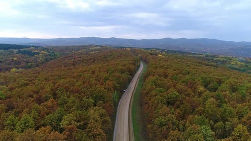 Aerial View: Autumn Forest and Country Road, Autumn, Yellow Trees and Highway