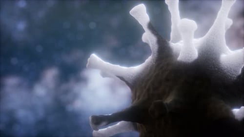 3D Animation of Microscopic Virus Cell Rotation