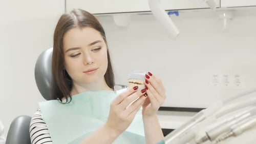Woman Examines Model Teeth at Dentist Office