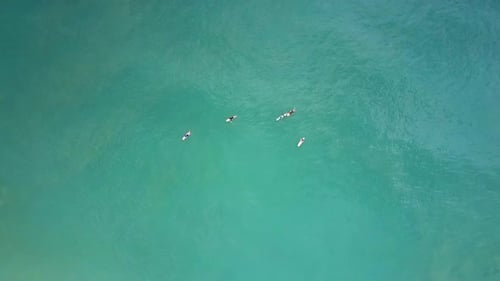 Paddleboarders on Calm Water From Above
