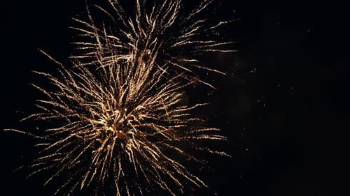 Brilliant Gold and White Fireworks Light Up Night