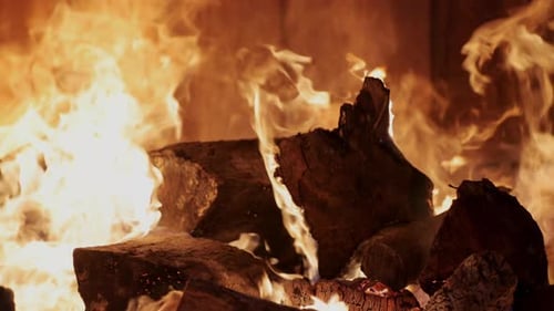 Solid Fuel Burning in the Boiler
