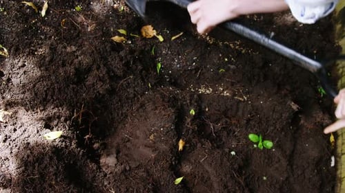 Person mixing soil with shovel in garden