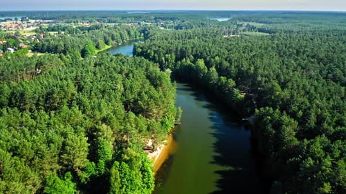 Forest and river in Zalew Koronowski, Poland