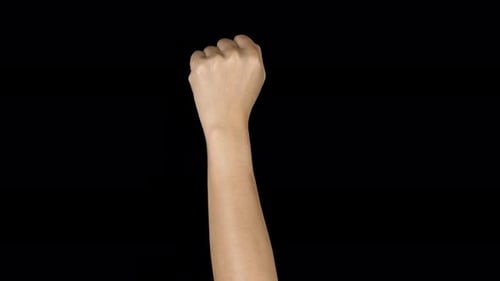 Caucasians Hand Fighting With Alpha Channel