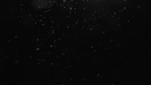 Particles Floating on Black Background
