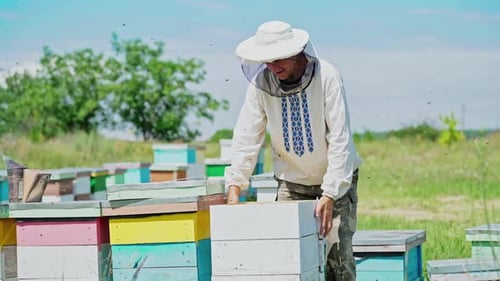 ein Imker in Schutzkleidung hält einen Rahmen mit Waben für Bienen im Garten i