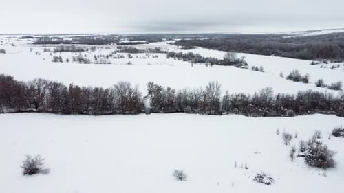 Snow Covered Fields