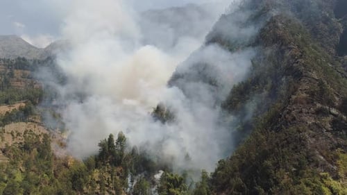 Forest Fire in the Mountains