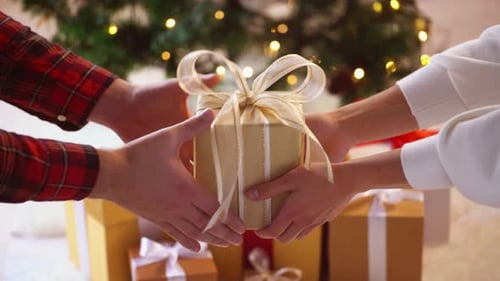 Hands Exchanging Christmas Gift in Festive Setting
