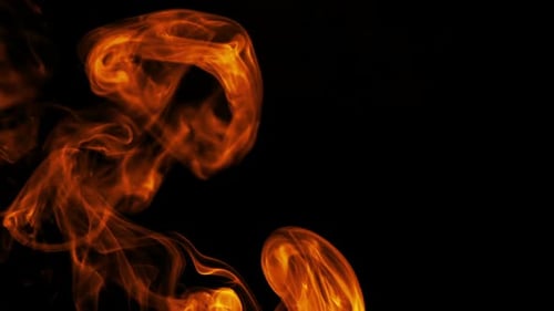 Smoke Orange
