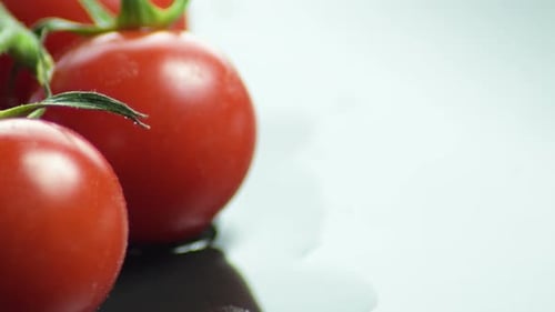 Close Up of Ripe Cherry Tomatoes on Vine