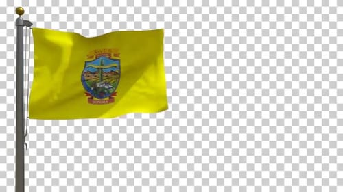 Waving Flag of San Luis Rio Colorado Sonora with Alpha Channel