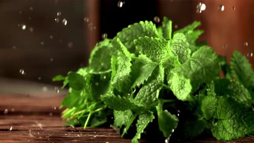 Cámara lenta sobre gotas de agua con forma de menta