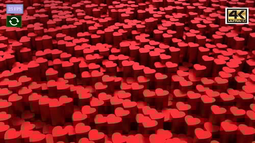 Animated 3D Red Hearts Rising Loop Background