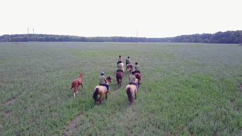 Group Riding Horses