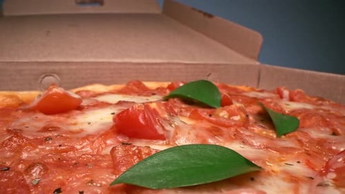Opened Pizza Box