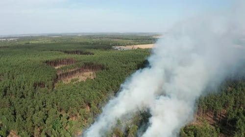 Aerial View of Wildfire in Forest. Burning Forest and Huge Clouds of Smoke.