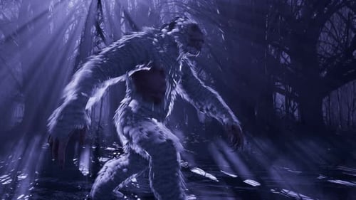 Yeti