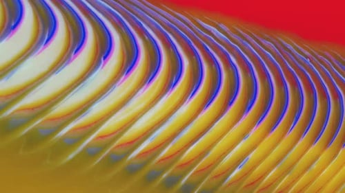 Movable Yellow Blue Red Background with an Ornamental Pattern