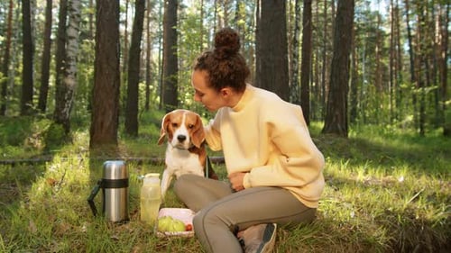 Woman Pets Beagle Dog in Sunny Forest