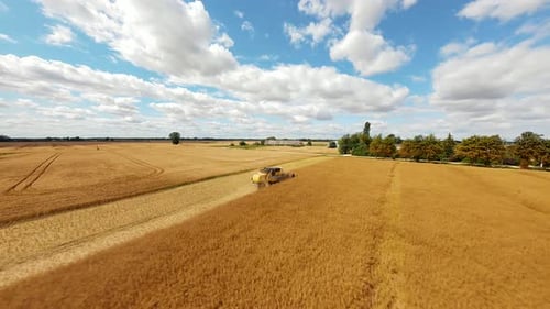 Combine Harvester Harvesting Large Field