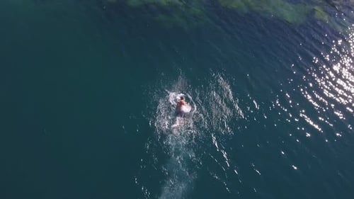 Aerial view. A muscular man swims quickly in the crystal clear sea water. Top view. Summer vacation