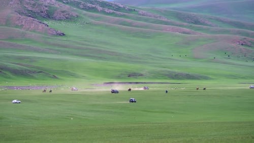 Langstrecken-Pferderennen in der Natur
