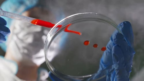 Scientist Adds Red Liquid to Petri Dish