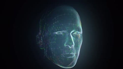 Digital Human Head Wireframe Data Network Animation