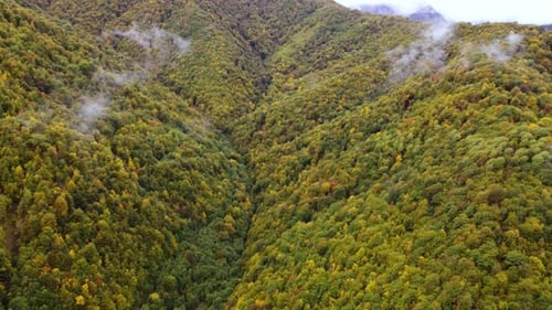 Autumn In The Foggy Mountain Valley